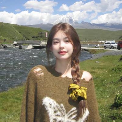 大湾区旅行者