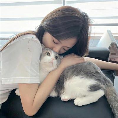 战地情莺